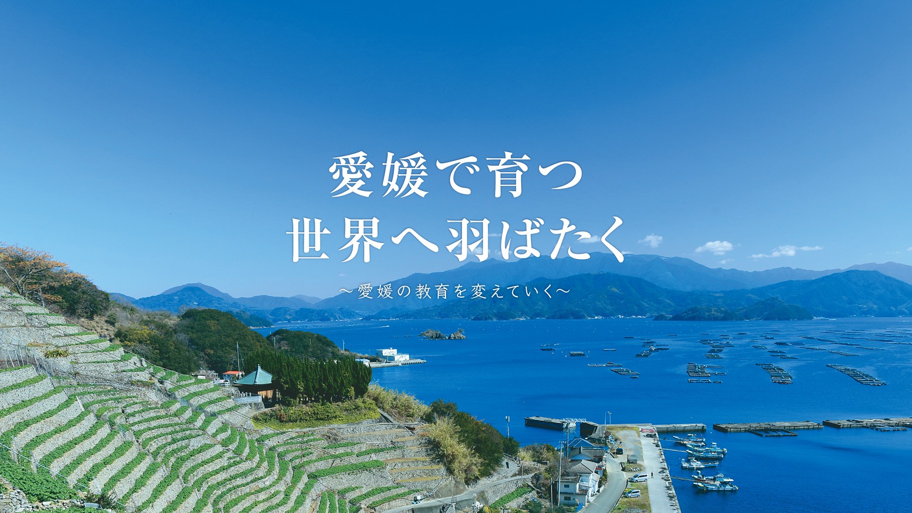 愛媛で育つ 世界へ羽ばたく - 段々畑