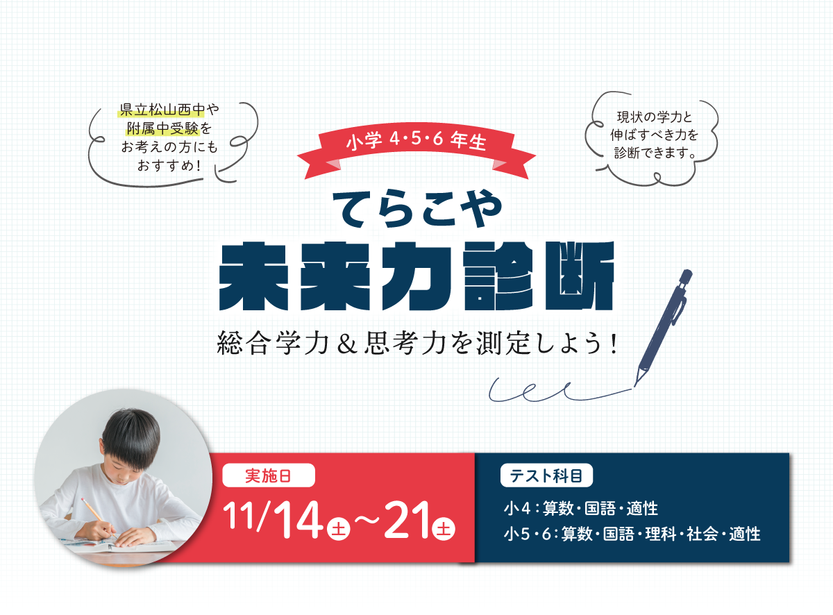 小学生学力診断テスト